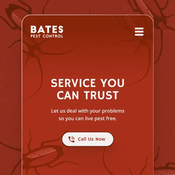 Thumbnail showing mobile UI of Bates Pest Control website, featuring illustrated cockroaches on clay red background