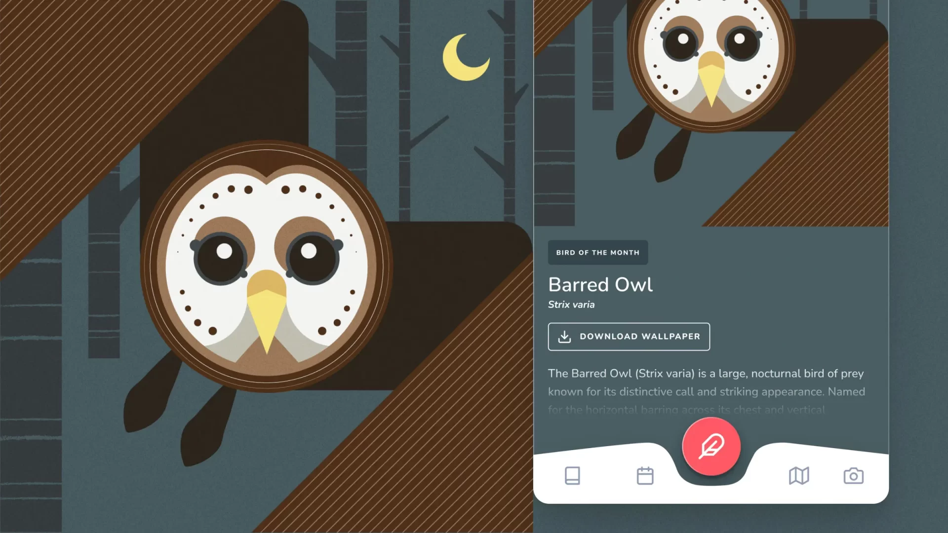 Illustrated Barred Owl and mobile UI showing the product navigation bar for Chirp app