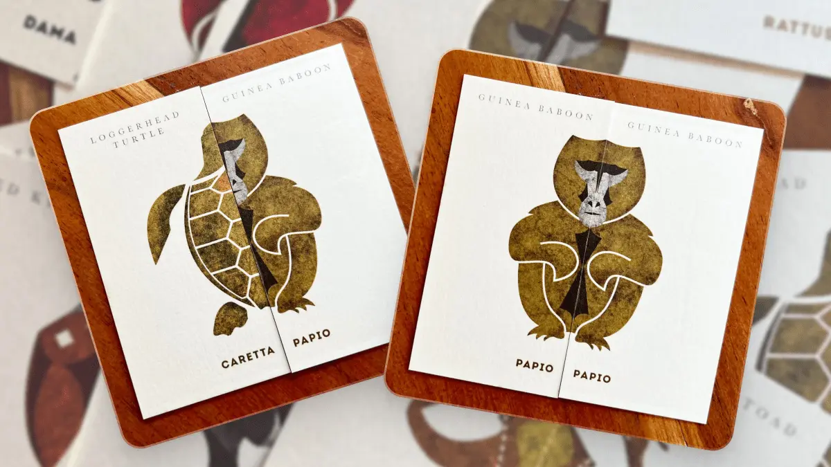 Photographs of card combinations from the illustrated wildlife card game Crocuta Crocuta showing a mismatch of a turtle with a baboon on the left, and the correctly matching baboon on the right