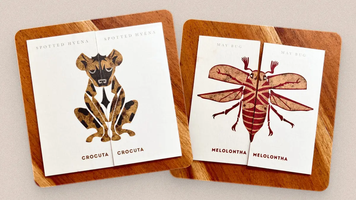 Photographs of card combinations from the illustrated wildlife card game Crocuta Crocuta showing a correctly paired hyena on the left and a may bug on the right